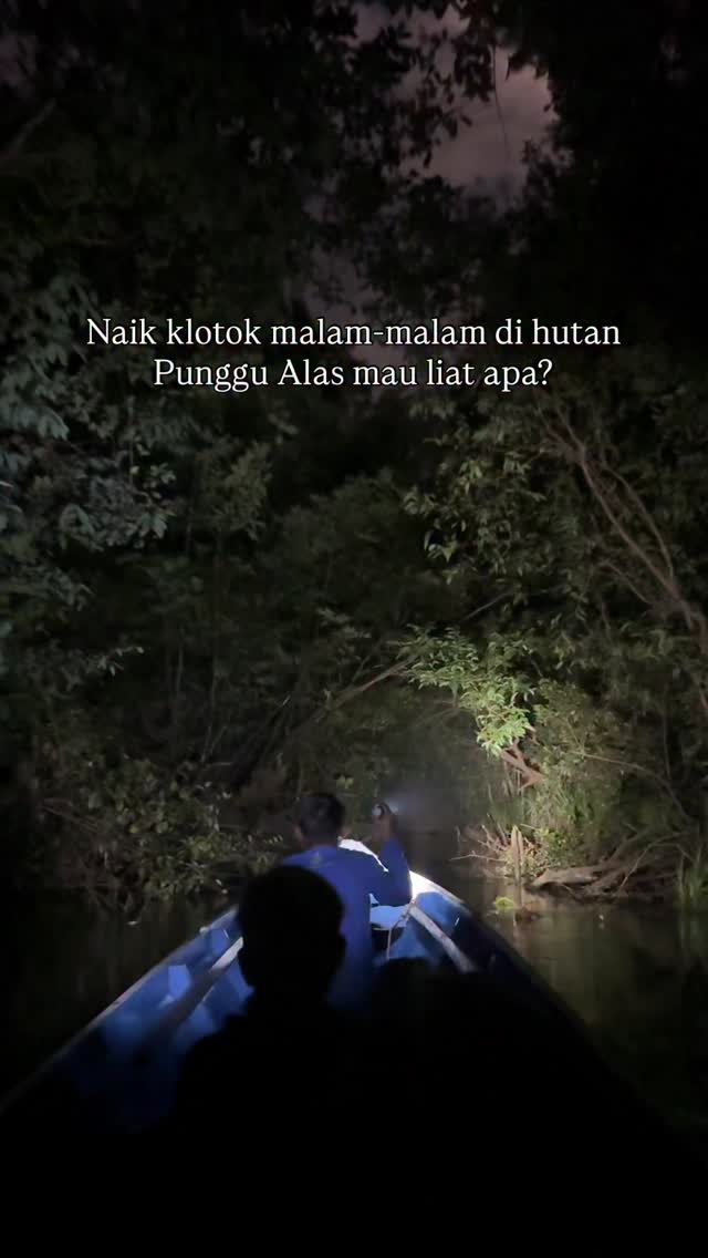 Kalau beruntung bisa liat tarsius, kucing hutan bahkan macan dahan juga loh, tertarik?
Datang aja ke Palangkaraya dan gabung di trip kita ke Taman Nasional Sebangau.
#sebangau #opentripsebangau #punggualas