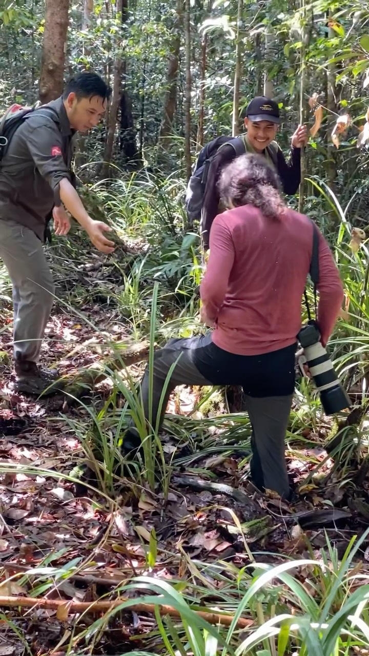 Kalau ingin melihat sisi asli hutan Kalimantan, siap-siap kaki tenggelam dulu.Open trip atau privat trip
Untuk info lebih lanjut bisa langsung ke
Whatsapp Admin +62 821-5992-6152#sebangaunationalpark #sebangau #punggualas #orangutan #kalimantan