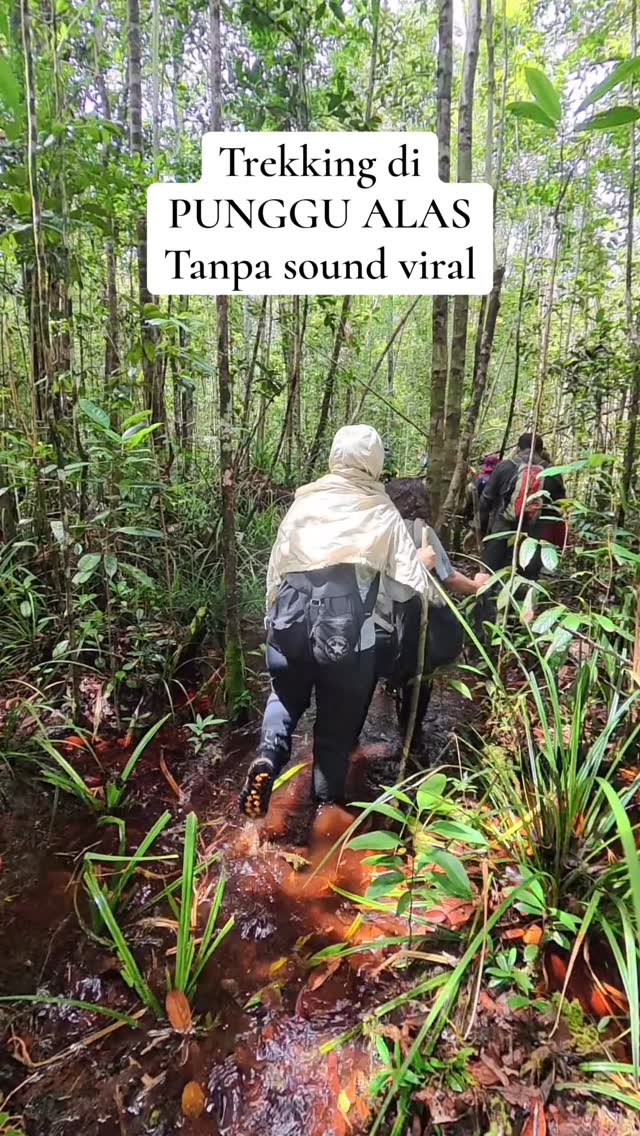 Keseruan trekking di hutan gambut Taman Nasional Sebangau, mau merasakan keseruannya? Jadwal open trip berikitnya ada di tanggal 3-5 April.
#sebangau #tamannasionalsebangau #opentripsebangau