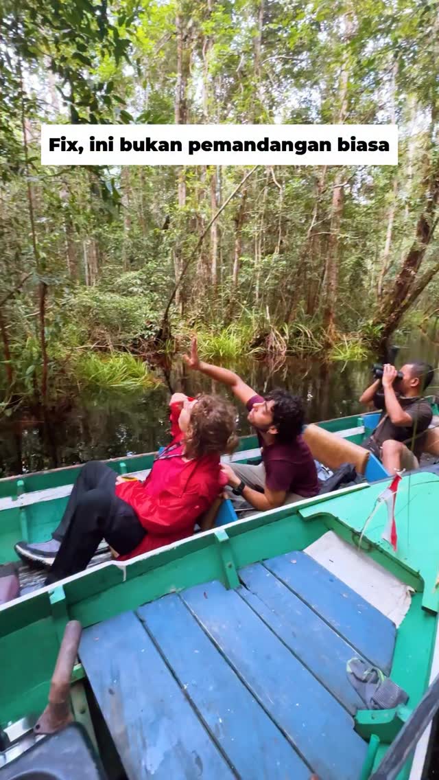 Datanglah dengan rasa ingin tahu, pulanglah dengan rasa peduli pada satwa dan hutannya#tanjungputing #opentriptanjungputing #orangutan #kalimantan #sebangau