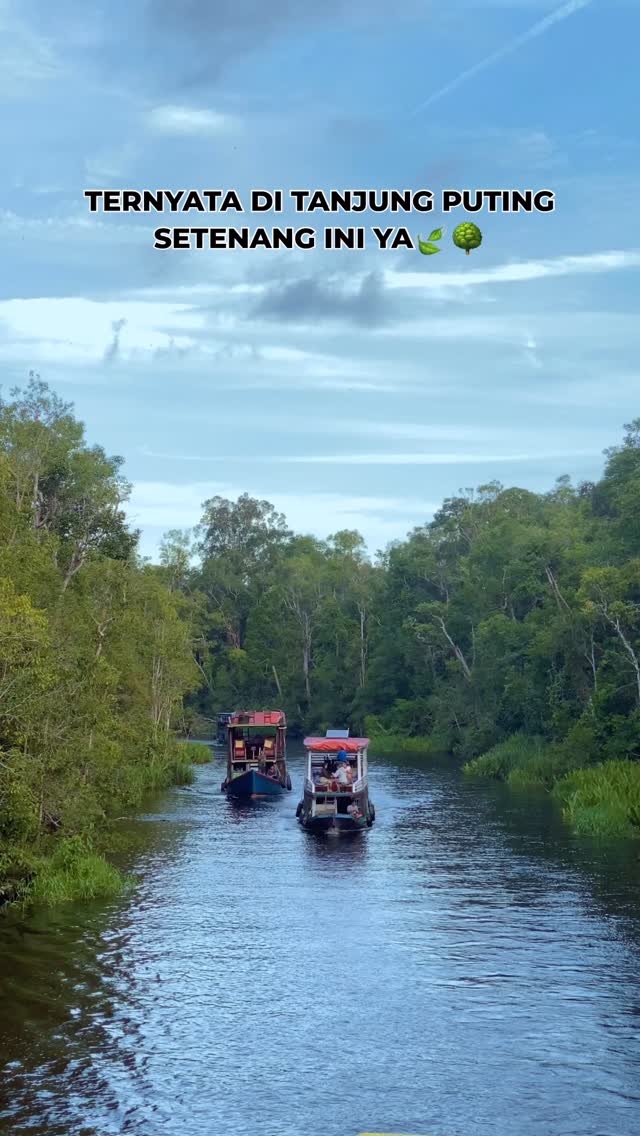 Kapan lagi ke tanjung puting
Yok atur cuti kalian dan booking dari sekarang#tanjungputing #tanjungputingnationalpark #kalimantan