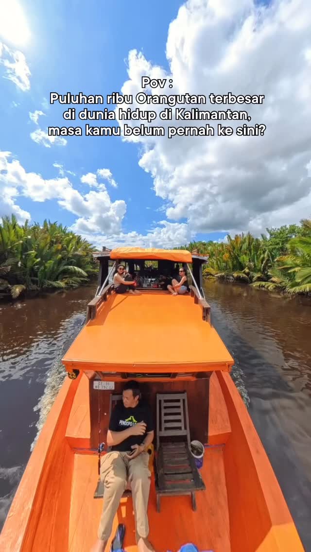 Terimakasih yang sudah berkunjung ke taman nasional tanjung puting bersama @beborneotour semoga setiap perjalanan jadi cerita yang tak hanya indah, tapi juga berarti.#tanjungputing #opentriptanjungputing #triptanjungputing #orangutan #kalimantan