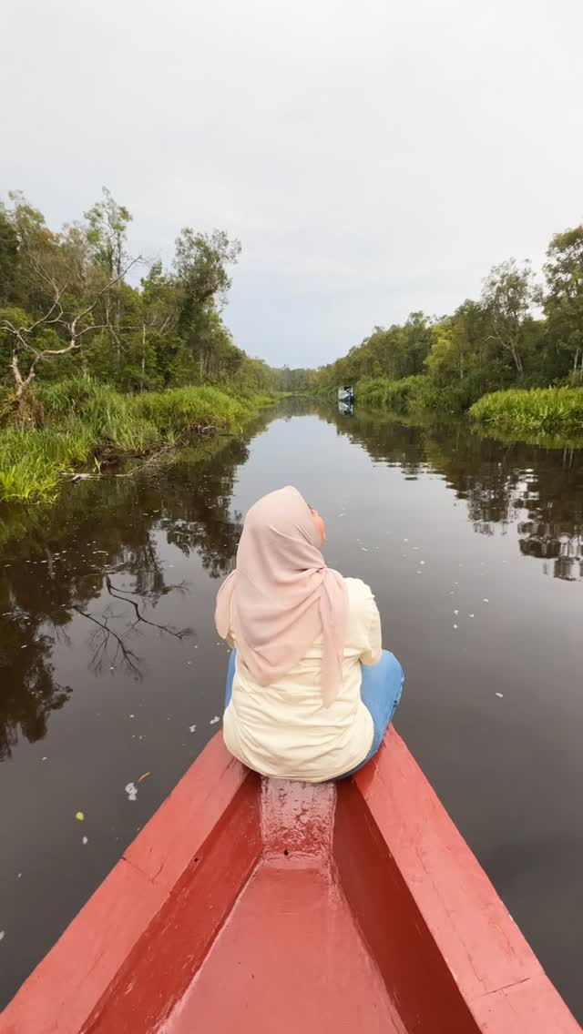 Menikmati alam dengan diiringi sound manual 😂#tanjungputing #orangutan #klotok