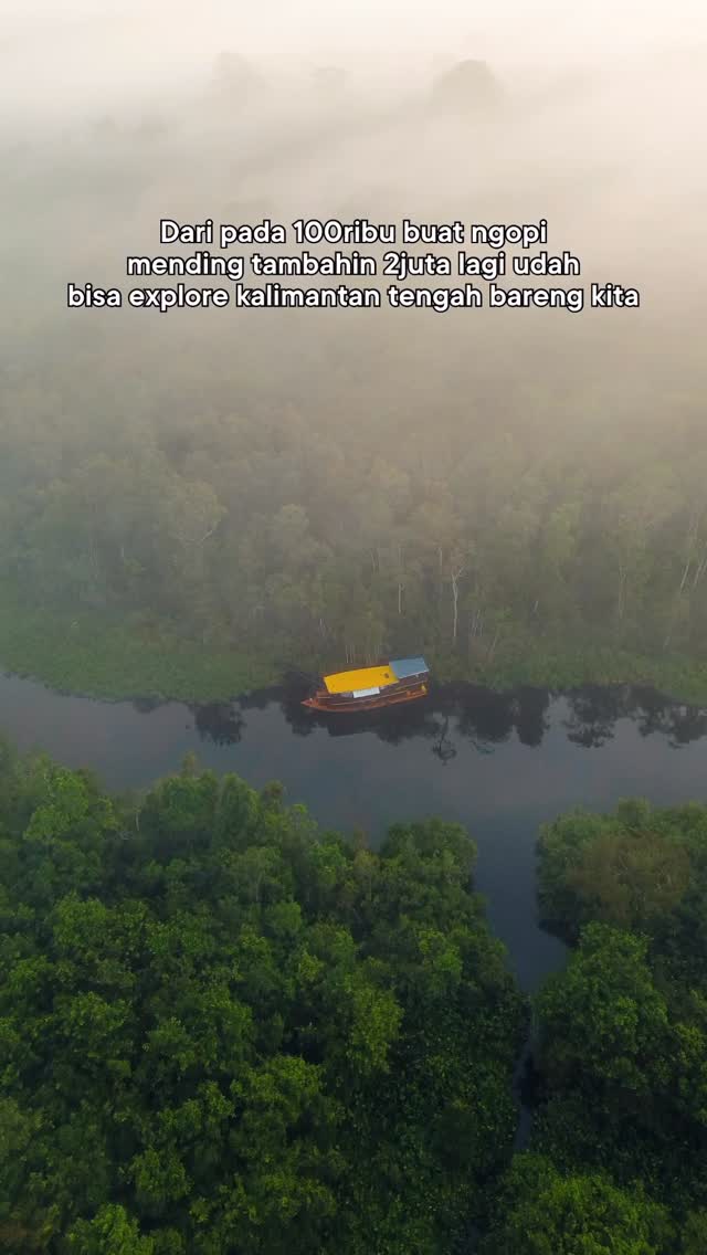 Masih banyak sudut tersembunyi yang nunggu kamu datang
Open trip atau privat trip
Untuk info lebih lanjut bisa langsung ke
Whatsapp Admin +62 821-5992-6152#opentriptanjungputing #triptanjungputing #orangutan #sebangau #kalimantan