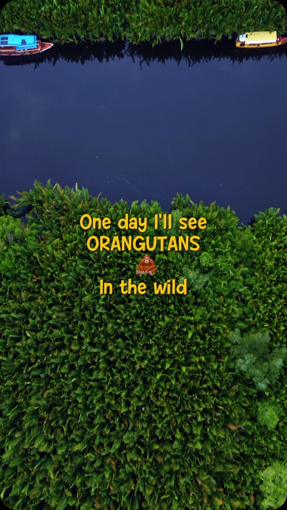 Rasanya belum lengkap menjelajahi Kalimantan kalau belum menginjakkan kaki di Tanjung Puting. Di sini, kamu bukan cuma melihat hutan hujan tropis, tapi juga bertemu langsung dengan orangutan di habitat aslinya. 🌿🦧Open trip atau privat trip
Untuk info lebih lanjut bisa langsung ke
Whatsapp Admin +62 821-5992-6152#tanjungputing #triptanjungputing #opentriptanjungputing #orangutan #kalimantan